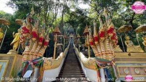 MadeinMycountry MadeinMycountryThailand MadeinMyCountryAsia Madein Thailand (45)