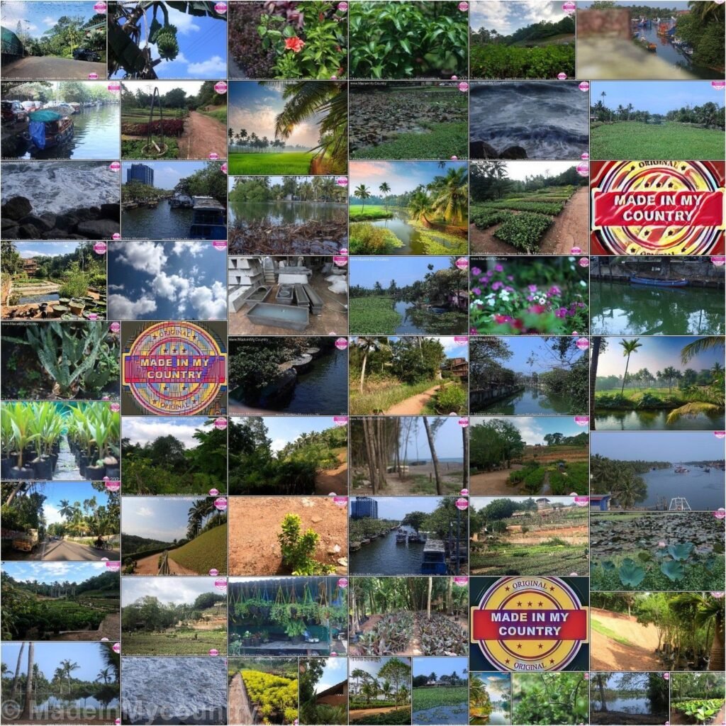 MadeinMycountry India! MadeinMycountry is a global platform that celebrates and supports local history, culture, art and nature conservation efforts.