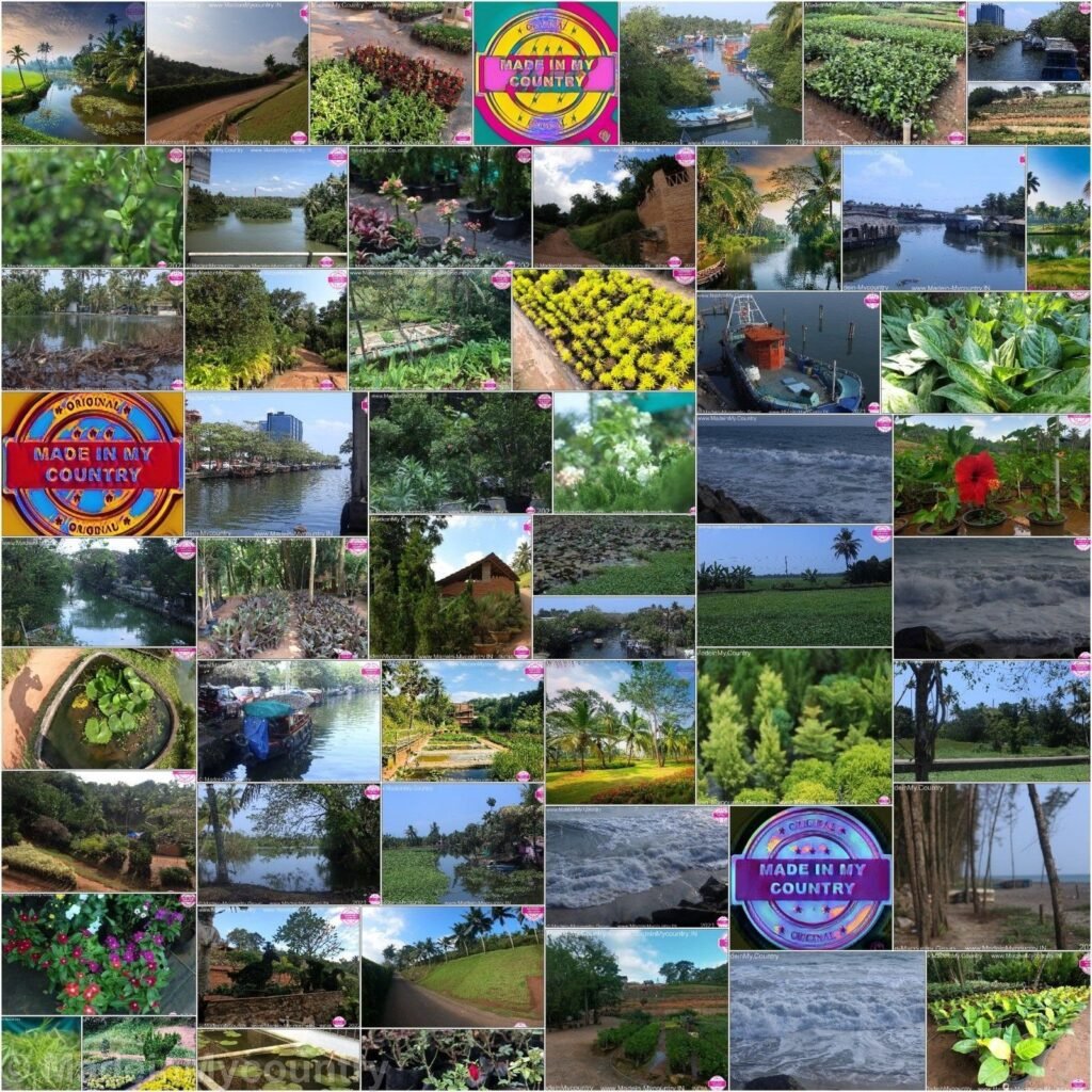 MadeinMycountry India! MadeinMycountry is a global platform that celebrates and supports local history, culture, art and nature conservation efforts.